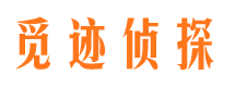 枫溪市私家侦探